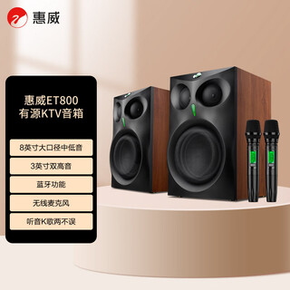 Hivi et800 active ktv speaker home theater tv karaoke bluetooth speaker with wireless microphone