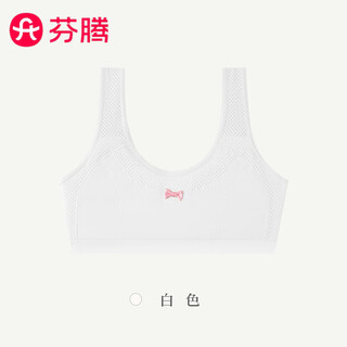 Fenton breathable developmental girls underwear middle school students junior high school students high school girls girls bra vest wrapped chest seamless white s (recommended height 150cm)