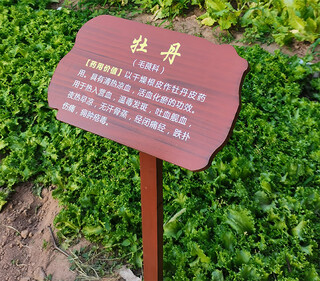 Customized outdoor antiseptic wood, chinese herbal medicine, flowers and plants, introduction, science brand label, ground brand, tree name brand, size 30*50cm, pole height 1 meter/thickened