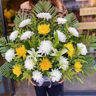 Leaf flowers qingming festival yellow and white chrysanthemum bouquet portable flower basket for sweeping tombs and paying homage to ancestors flower express beijing city delivery 19 mixed-color chrysanthemums + lilies