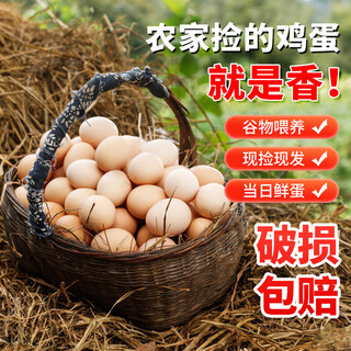 Yishuli fresh grain fresh eggs, fresh eggs raised by farmers on the spot, single 50g, 5 single 50g, 12 pieces