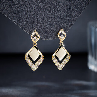 Yalundi's unique silver earrings, earrings, earrings, ear clips, women's niche design earrings 2025 new hot style, high-end