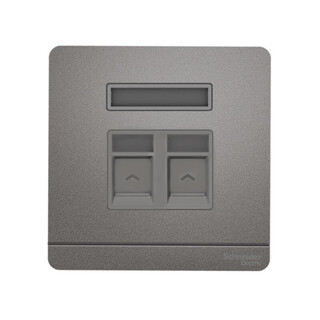 施耐德绎尚系列星云灰单联带保护门电话+超五类信息插座E8332TDRJS5_CG_C1 电话+超五类信息插座 绎尚星云灰E8332TDRJS5_CG_C1