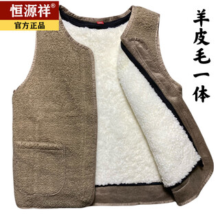 Hengyuanxiang wool vest for women, fur integrated vest, middle-aged and elderly people's cold-proof thickened cotton vest, winter warm vest, light brown with short wool liner l 4x recommended 110-130jin jin is equal to 0.5 kg