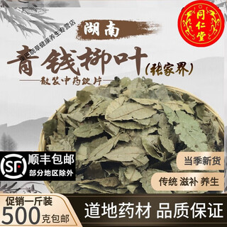 Runhongyongtang chinese herbal medicine qingqianliu leaf zhangjiajie selected qingqianliu original leaf ancient tree qingqianliu health tea 5