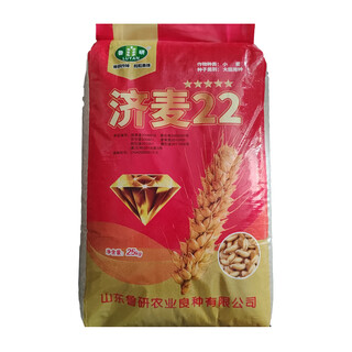 Семена пшеницы Луян Джимай 22, высокая урожайность, большие колосья, морозостойкие, морозостойкие, устойчивые к болезням, сильные засухоустойчивые и устойчивые к полеганию, одобренные на национальном уровне подлинные Луян Джимай 22 оригинальные аутентичные один мешок 50 Цзинь Цзинь равен 0,5 кг