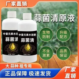 Garlic bacteria pure liquid microbial agent special medicine for garlic disease dry tip yellow leaf bactericidal microbial agent 1000g