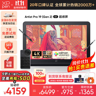 XPPen Artist Pro19(4K)数位屏 专业绘画手绘屏 连接电脑笔记本绘画板AP19电子画板 Artist Pro19【4K超清】
