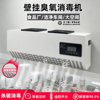 Aijenu wall-mounted ozone sterilizer food factory clean workshop canteen school deodorization formaldehyde sterilization generator 10g paint resistant to rust (remote control + appointment timer)