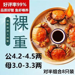 Live crabs, lake fresh yangcheng hairy crabs, male 4.2-4.5 taels, female 3.0-3.3 taels, 4 pairs, 8 extra large crabs, fresh live crab gift box, straight from the source