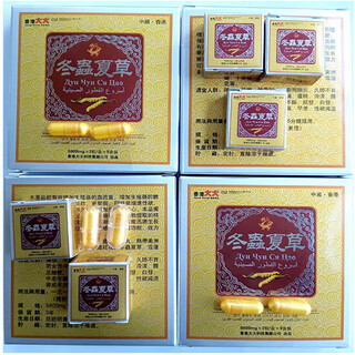 Calmly confront hong kong's cordyceps king huhushengwei cordyceps small box real kung fu affordable package of 18 capsules