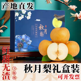 晟容果蔬山东秋月梨新鲜采摘冰糖梨子礼盒当季水果甜现摘现发送礼佳品包邮 净重4.5斤精选装【单果约250g+】