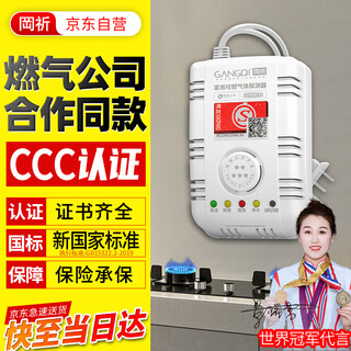 Gangqi jt-yj-607b gas alarm 3c certified new national standard natural gas alarm household commercial kitchen pipeline liquefied natural gas gas combustible gas leakage induction detection alarm