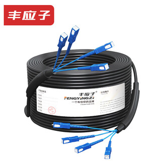 Fengyingzi outdoor multi-mode armored optical cable finished product fiber optic cable jumper fusion-free fiber optic cable carrier grade 4-core sc-sc 500 meters fyz-z73f