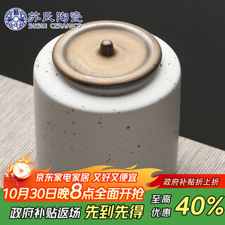 Sushi ceramics tea can, fashionable matte rust tea set accessories (white)