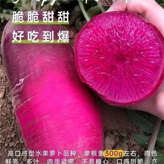 Pineapple fruit radish seeds ~ red radish rouge radish seeds four seasons seeds garden vegetables pineapple radish 2 packs 500 capsules