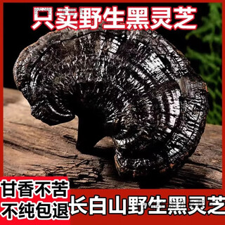Huasetang black ganoderma wild changbai mountain 500g ganoderma slices dried whole flowers soaked in wine five-color ganoderma healthy tea bottled spore powder 250g
