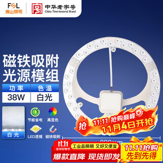 Fsl foshan lighting led ceiling lamp lamp panel light source module wick 220v 38w 280 white light