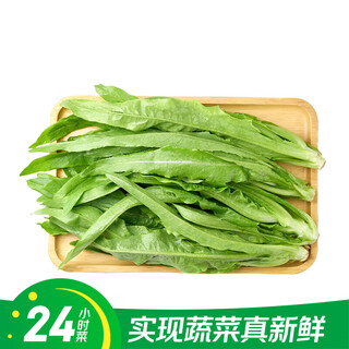 24-hour vegetable lettuce 300g