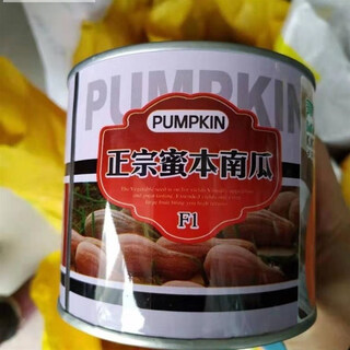 Qingyi xuanmiben pumpkin seeds high yield sweet noodles giant cream chestnut pumpkin golden hook pumpkin field planted vegetable seeds authentic miben pumpkin seeds 50g for base use