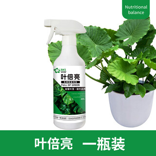 Beikeshi yebei liang decontamination brightening leaf plant brightening does not damage the vegetation to restore luster yebei liang 500ml*1 trial pack