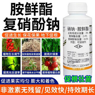 Sodium nitrate ester compound sodium nitrate amine fresh fat security flower protection fruit rooting plant growth regulator pesticide genuine 500g sodium nitrate 500g * 1 bottle