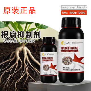 Настоящий ингибитор корневых гнилей для предотвращения выпревания и загнивания корней, жесткости саженцев, быстрого укрепления корней и очистки почвы. Ингибитор корневой гнили kevohua 500 г*1 флакон