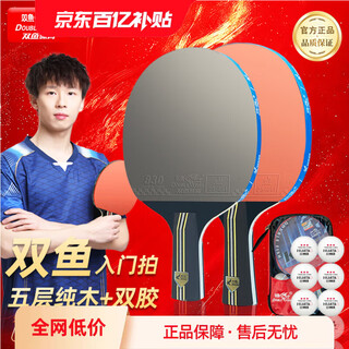 双鱼乒乓球拍初学者横拍豪华旗舰全能型反胶一对成品拍小学生儿童 初学入门横直对拍【推荐】 豪华套装【球拍+拍包+球】 双鱼乒乓球拍初学者横拍豪华旗舰全能型反胶一对成品拍小学生儿童 初学入门横直对拍【推荐】 豪华套装【球拍+拍包+球】