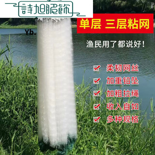 Fishing nets, fishing gear, sticky wire nets, single-layer floating nets, three-layer sinking nets, hanging sub-fishing nets, crucian carp, silver carp, white strip nets, three limited-time single layers, 1 finger, 8 meters long, 0.8 meters high
