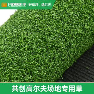 Co-create lawn golf green grass indoor and outdoor golf artificial turf fitness environmental protection gate court curved turf simulation golf b type