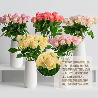 10 single-headed roses in random colors