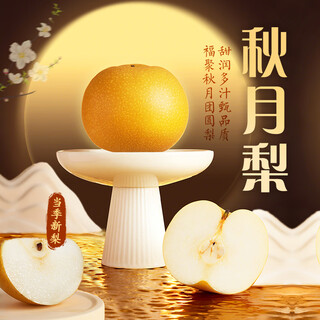 东方甄选秋月梨产自山东清甜多汁应季新鲜水果坏果包赔 【5斤装】单果380g-450g（5-6颗） 口感清甜，冷藏后食用口感更佳