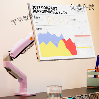 NB（ERGONOMIC）NB 炫彩系列电脑显示器支架悬臂屏幕机械臂增高架升降旋转拉伸 炫彩系列-梦幻粉 17-30英寸 2-9kg