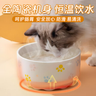贝初众酸奶机猫咪饮水机恒温水碗可加热宠物加热猫碗盆狗狗喝水器陶瓷碗 【猫爪印】恒温加热-350ML 防干烧 陶瓷机身