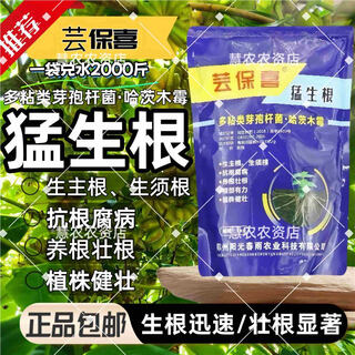 Special fertilizer for octagonal trees, baoxi meng rooting powder, strong seedling fertilizer, guangxi anti-root rot manufacturer, straight hair, fierce rooting*2 bags