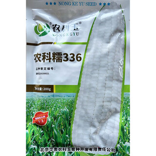 Nongke nuo 336 corn seeds tianjia nuo national appraisal fresh food bao gu tian nuo grains 1:3 huaao seeds 200g/bag nongke nuo 336 tianjia nuo