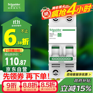Schneider electric air switch 2p c63a household miniature circuit breaker main switch double-input double-output double-pole air switch r9f44263