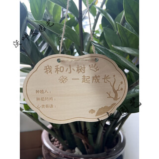 Yong huan 10 pieces of custom-made wooden hanging tags for school arbor day tags tree adoption tags plant tags name cards grow with the trees 10 pieces