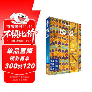 埃及(第二版）-LP孤独星球Lonely  Planet 旅行指南