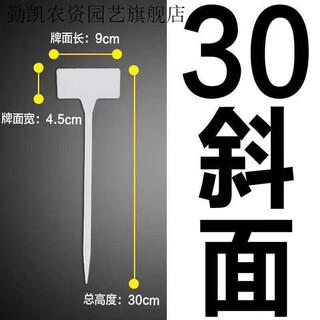Фантазийный пластиковый большой наземный знак Цветочный наземный знак Садовая этикетка Наземный знак Садоводство Инструкция по выращиванию рассады Вставка 30 см с фаской белого цвета (10 шт.)