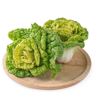 Huangxinwutai seedlings, chrysanthemum and cabbage seedlings, potted garden garden fields, easy to grow four-season vegetable seedlings, 20 huangxinwutai plants