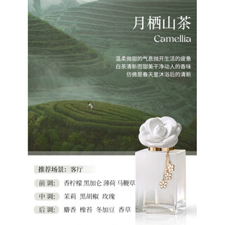Shantou lincunshan fireless aromatherapy gift box for home bedroom yueqi mountain tea (cold flower tea fragrance) camellia fireless gift box_200ml