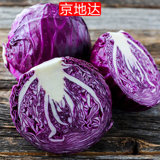 Jingdida shandong fresh purple cabbage, net weight 4.5jin jin is equal to 0.5kg, single 500g+, straight from the source