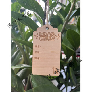 10 pieces of customized wooden hanging tags for school arbor day tags, tree adoption tags, plant tags, name cards, long strips of 5.5*10cm for planting hope (20 pieces)
