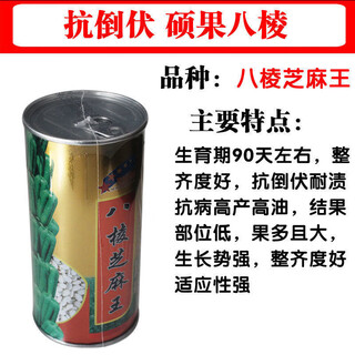 Linpan huazhi heiba seeds for garden planting, early maturing, high yield and high oil content, field seeds, eight-edged sesame king 150g barrel eight-edged white sesame seeds