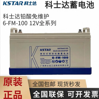 科士达蓄电池6-FM-24/38/65/100/120/150/200AH密封免维护蓄电池UPS电源 6-FM-100 12V100AH