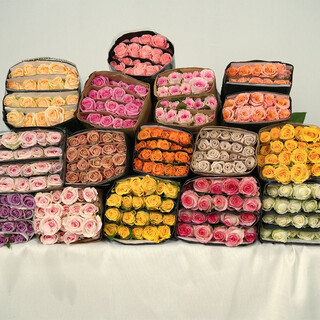 Qianqian whispering dounan base direct wholesale rose flowers national express delivery girlfriend gift home water-raised flower arrangement family 60 random roses