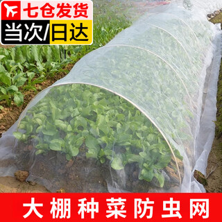 Zuozhixun vegetable insect-proof net greenhouse bird-proof net shade net greenhouse net agricultural plant gardening net cover agricultural insect-proof screen insect-proof net 2x10m