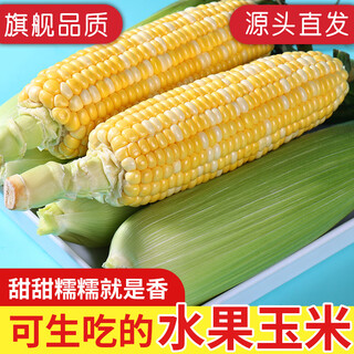 Niu aitian fresh corn yunnan fruit corn sweet corn on the cob fresh vegetables picked and skinned net weight 4.5 jin jin equals 0.5 kg single fruit 200g+ shipped from the origin