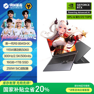 Mechanical revolution national subsidy 20% jiaolong 16pro 2025 16-inch gaming e-sports laptop (r9-8945hx 16g 1t rtx5060 300hz gray)